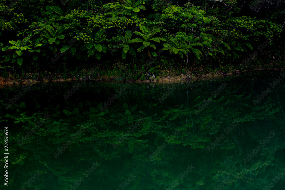 AdobeStock_72451674_Preview