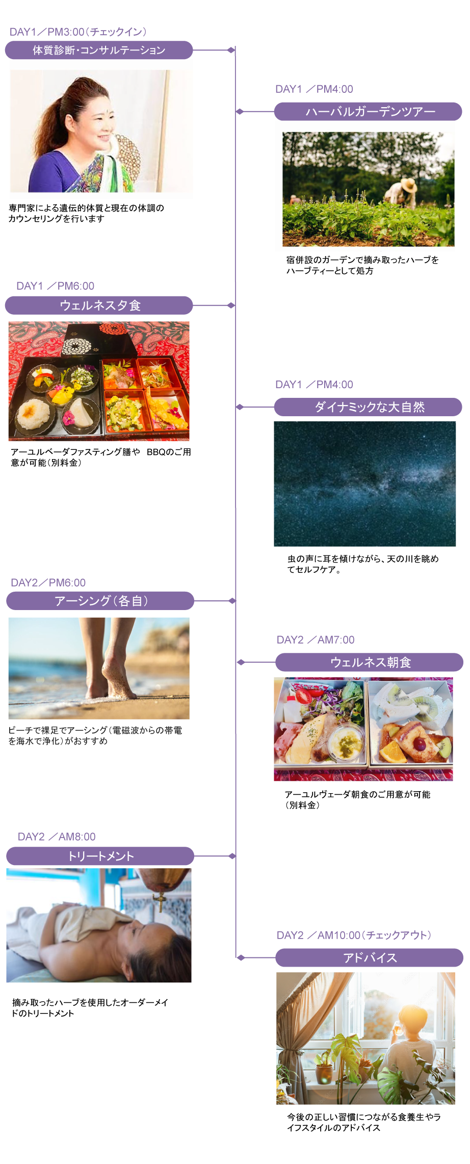 schedule_c