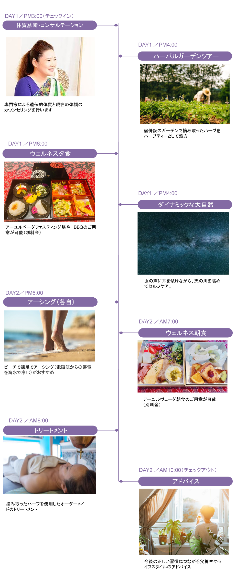 schedule_d