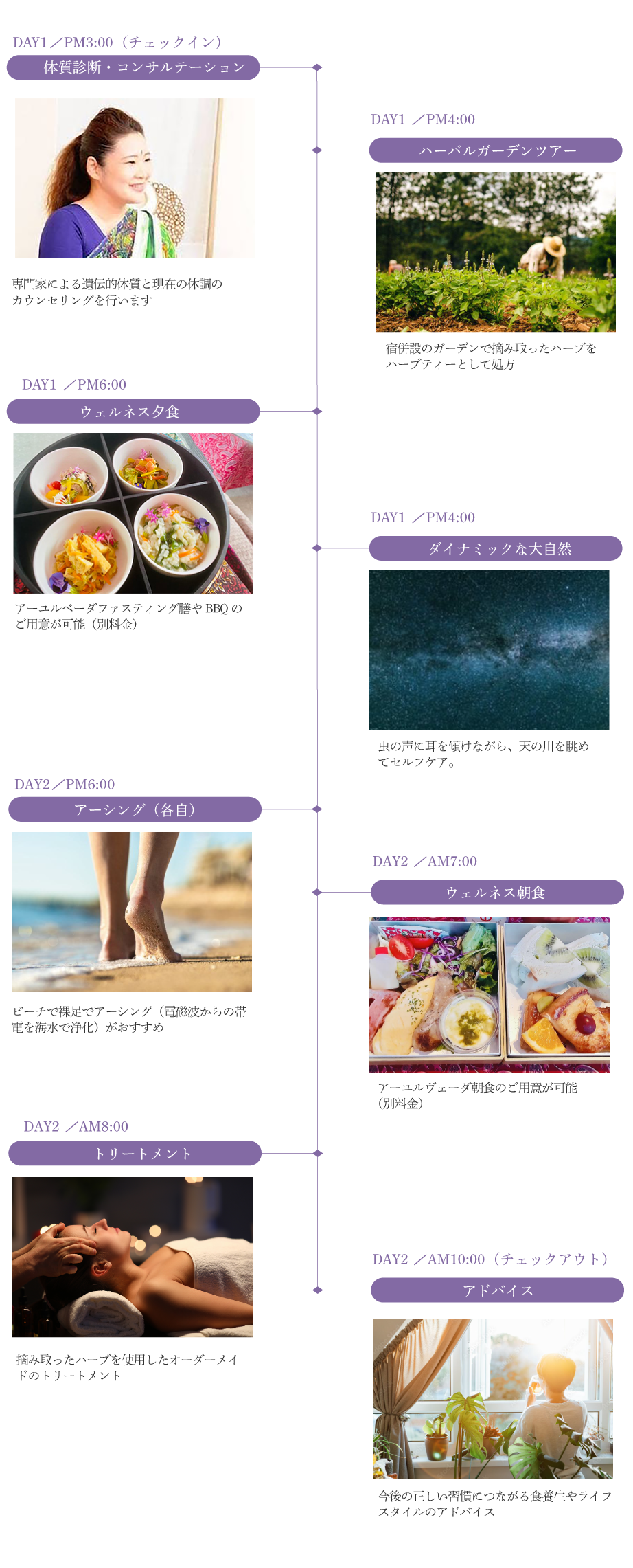 schedule_f